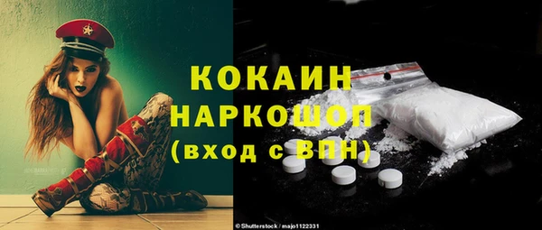 прущие грибы Новозыбков