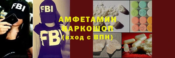 прущие грибы Новозыбков