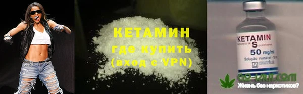 прущие грибы Новозыбков
