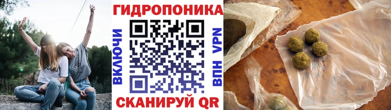 Бошки Шишки марихуана  kraken вход  Фокино 